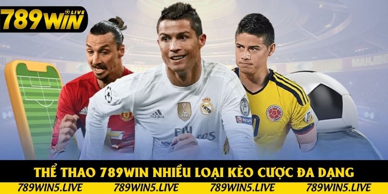 Thể thao 789win nhiều loại kèo cược đa dạng Thể thao 789win nhiều loại kèo cược đa dạng