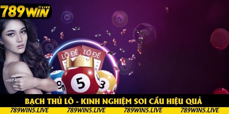 Bạch Thủ Lô - Kinh Nghiệm Soi Cầu Hiệu Quả Mỗi Ngày
