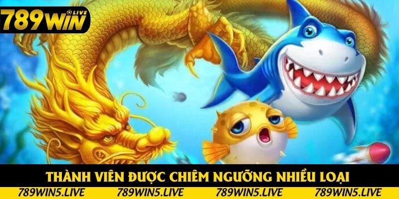 Thành viên được chiêm ngưỡng nhiều loại mới