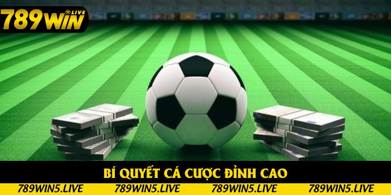 Kinh nghiệm quý báu tối ưu hóa khả năng chiến thắng từ cao thủ