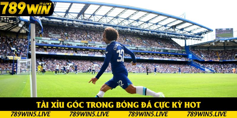 Tài Xỉu góc trong bóng đá cực kỳ hot