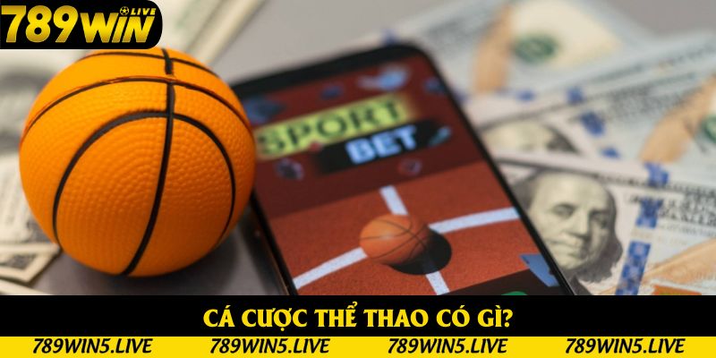 Cá Cược Thể Thao: Top Các Loại Kèo Được Yêu Thích Năm 2025