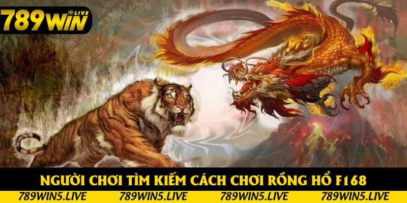 Người chơi tìm kiếm cách chơi Rồng Hổ 789win