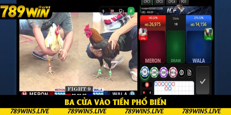 Ba cửa vào tiền phổ biến nhất trong trò chơi