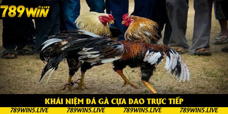 Khái niệm đá gà cựa dao trực tiếp
