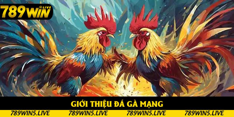 Khái niệm về đá gà mạng chi tiết
