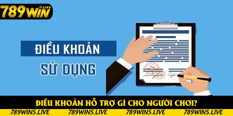 Điều khoản hỗ trợ gì cho người chơi?