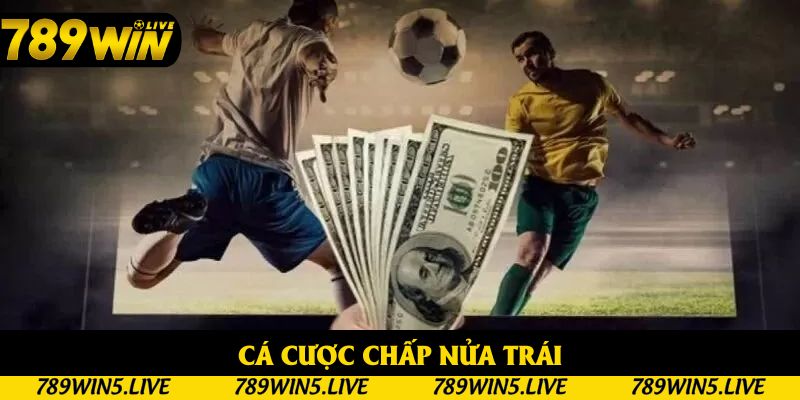 Cá cược chấp nửa trái