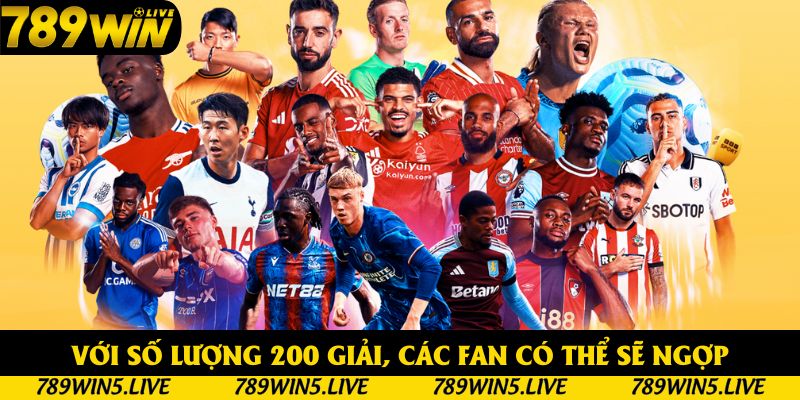Với số lượng 200 giải, các fan có thể sẽ ngợp