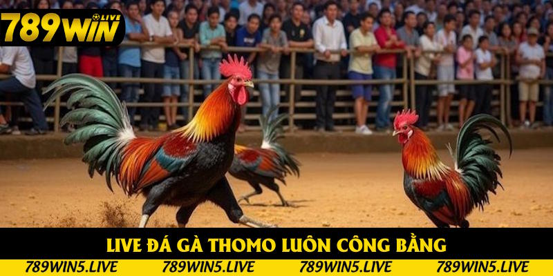 Công bằng đối với người xem lẫn cá nhân vào tiền