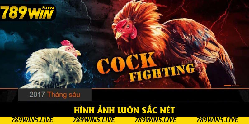 Hình ảnh cùng âm thanh được đầu tư kỹ lưỡng