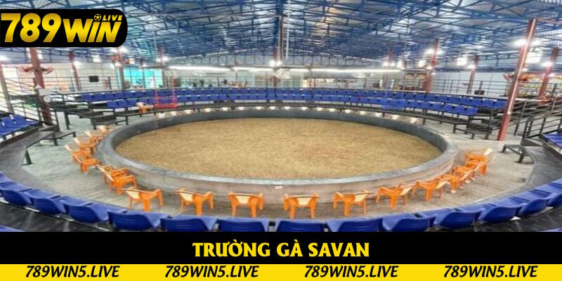Live đá gà trực tiếp tại sới Savan chuyên nghiệp