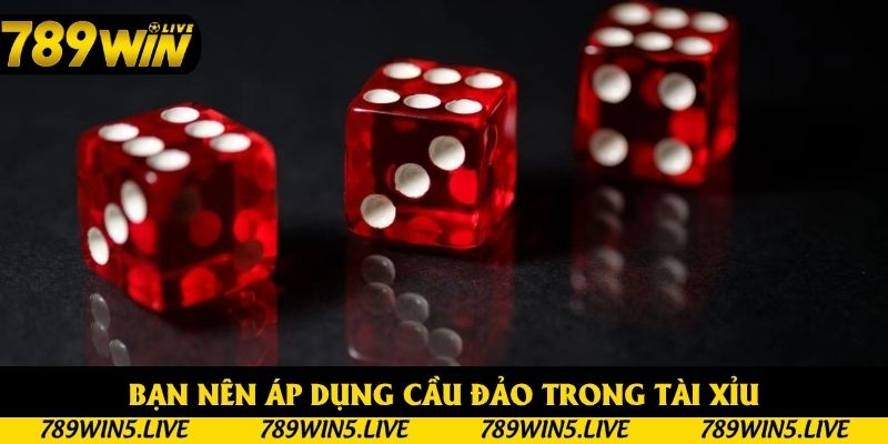 Bạn nên áp dụng cầu đảo trong tài xỉu