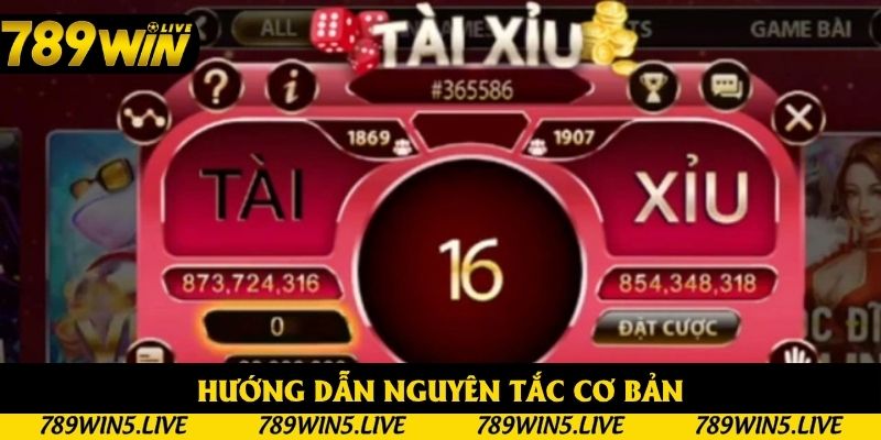 Hướng dẫn nguyên tắc cơ bản