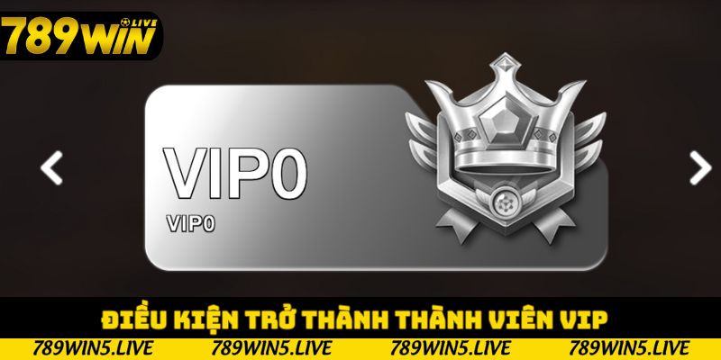 Điều kiện trở thành thành viên VIP
