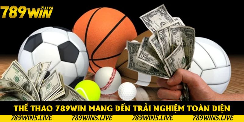 Thể thao 789win mang đến trải nghiệm toàn diện