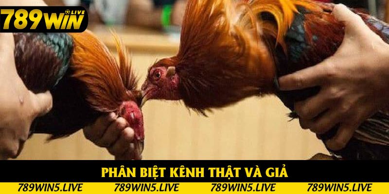 Tránh kênh giả với hình mờ, âm thanh không đồng bộ Tránh kênh giả với hình mờ, âm thanh không đồng bộ